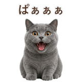 852383562