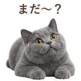 852383564