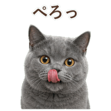 852383565