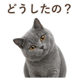 852383566