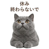 852383569
