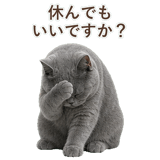 852383573
