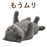 852383574