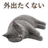 852383575