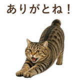 852383633
