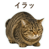 852383634