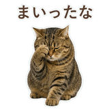 852383635