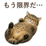 852383637