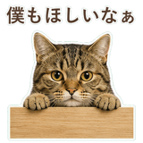 852383638