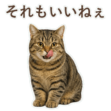 852383641
