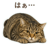 852383642
