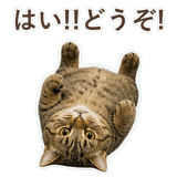 852383645