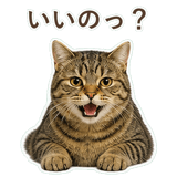 852383647