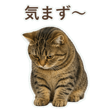 852383648