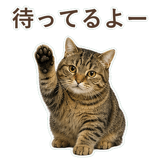 852383651