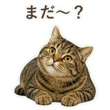 852383660