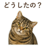 852383662
