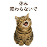 852383665