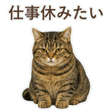 852383666