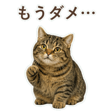 852383668