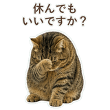 852383669