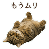 852383670
