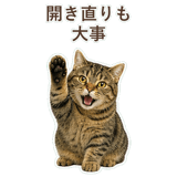 852383672