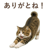 852383713