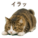 852383714