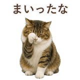 852383715