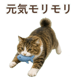 852383716