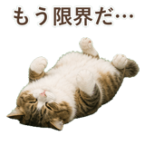 852383717