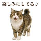 852383719