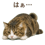 852383722