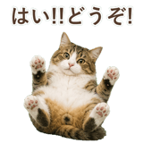 852383725