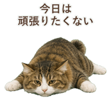 852383726