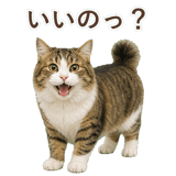 852383727