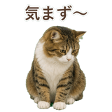 852383728