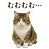 852383730