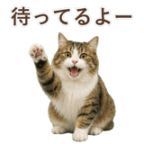 852383731