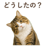 852383742