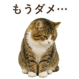 852383748