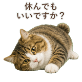 852383749