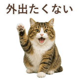 852383751