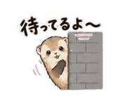 852384621
