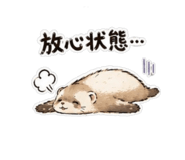 852384637