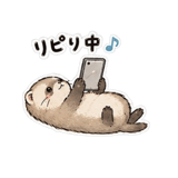 852384641