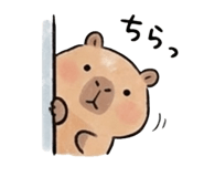 852385680
