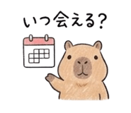 852385684