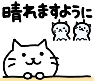 852386904